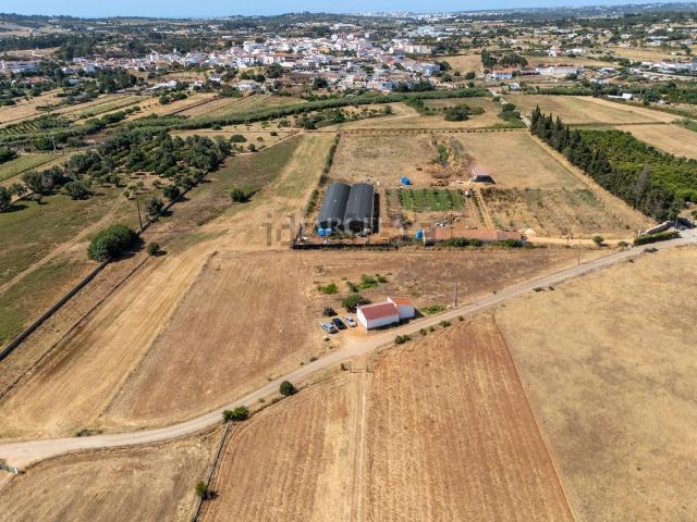 Moradia, Odiáxere