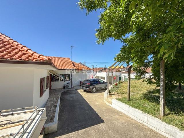 Moradia, Olaia e Paço