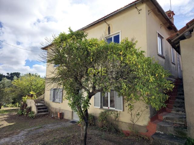 Moradia, Olival