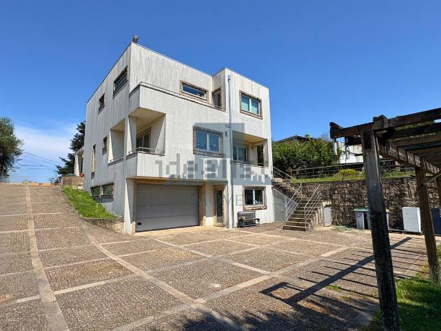 Moradia, Olival