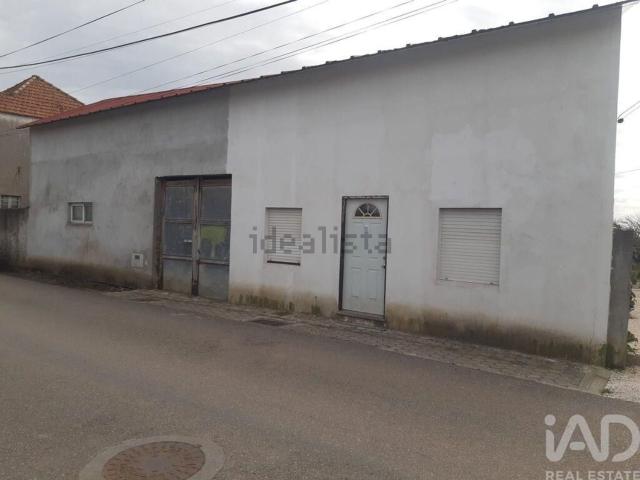 Moradia, Oliveirinha