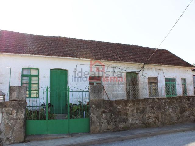 Moradia, Aves