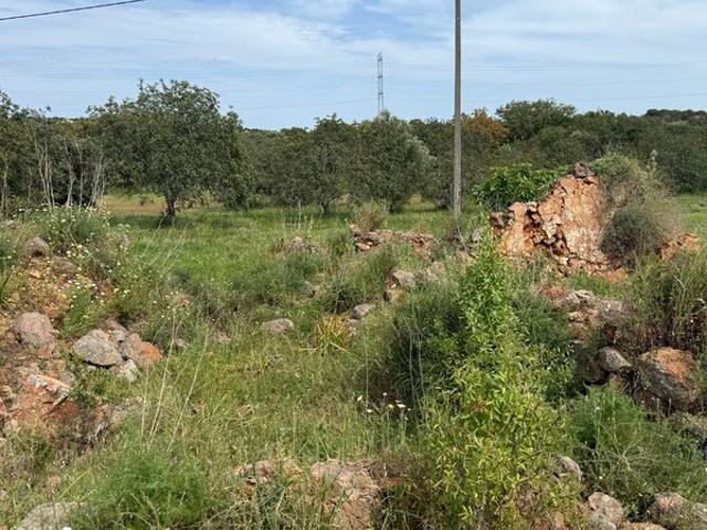 Moradia V0 à venda em Barrocal, São Bartolomeu de Messines, concelho de Silves, Faro, Portugal