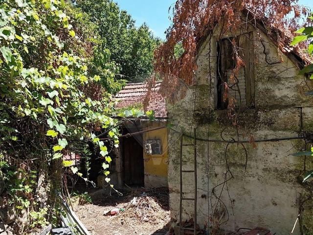 Moradia, Abragão