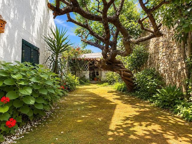 Moradia, Aldoar Foz do Douro Nevogilde