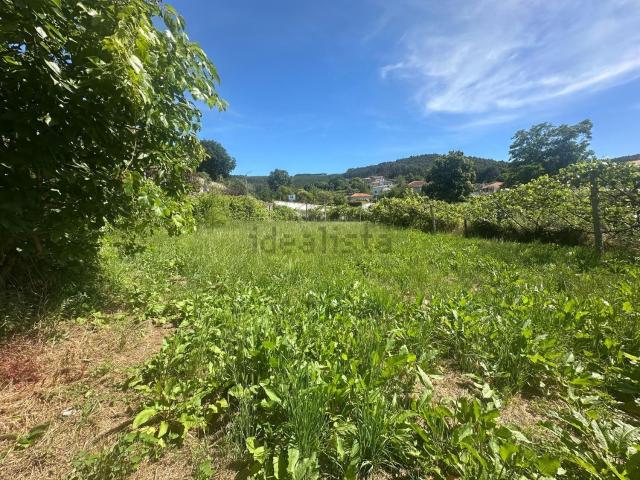 Moradia, Alvarenga