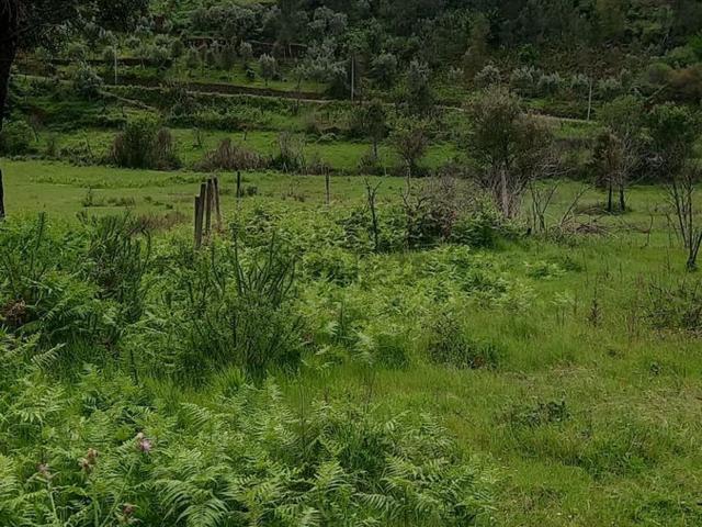Moradia, Alvares
