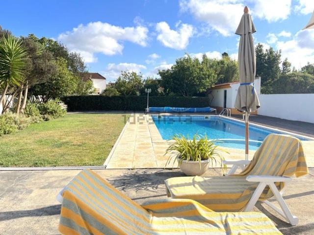 Moradia, Amoreira
