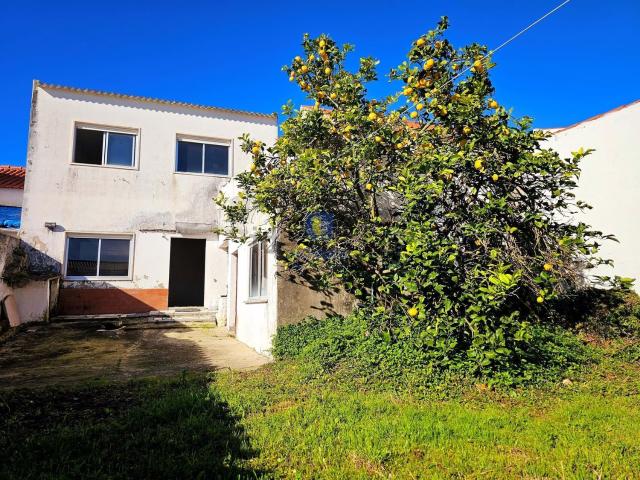 Moradia, Amoreira