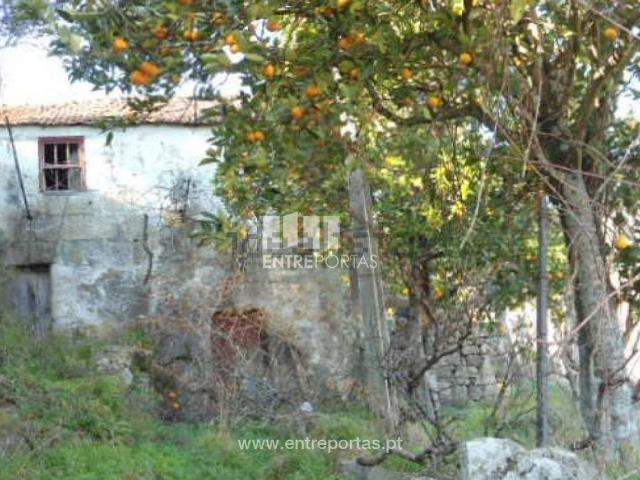 Moradia, Ancede e Ribadouro