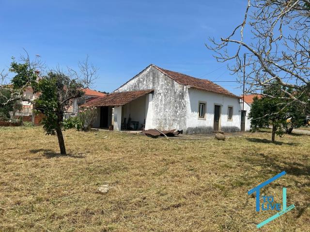 Moradia Antiga com Projeto Aprovado para Reconstrução Total a 5 Minutos de Tomar
