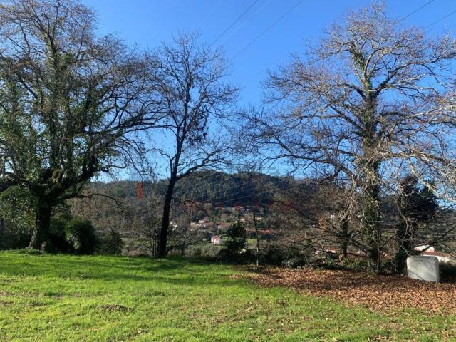 Moradia, Ardegão Freixo Mato