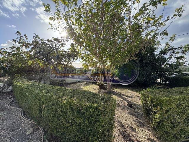 Moradia, Barrosa