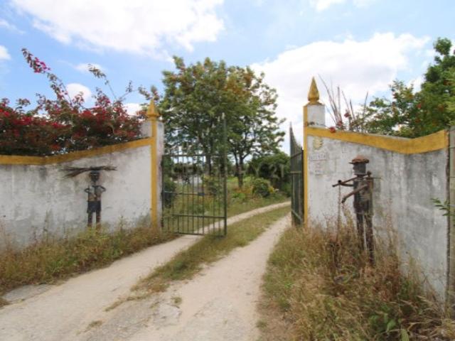 Quinta com Moradia Bi familiar, construída num lote de 7.500 m2, em Palmela