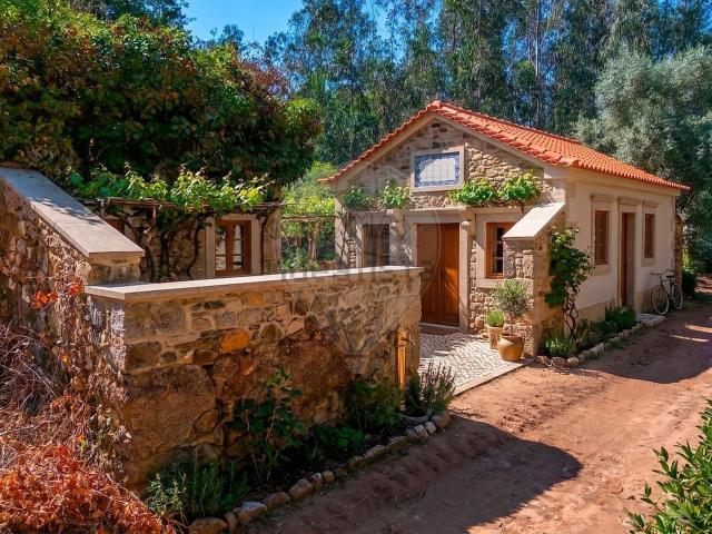 Moradia, Borralha