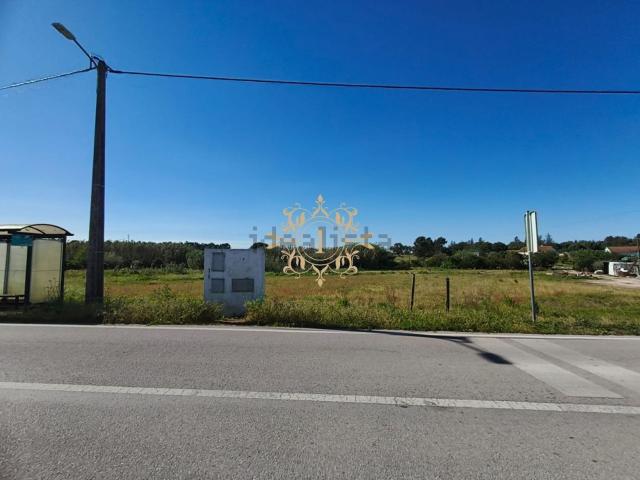Moradia, Branca