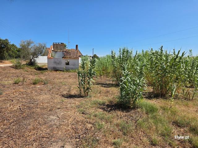 Moradia, Branca