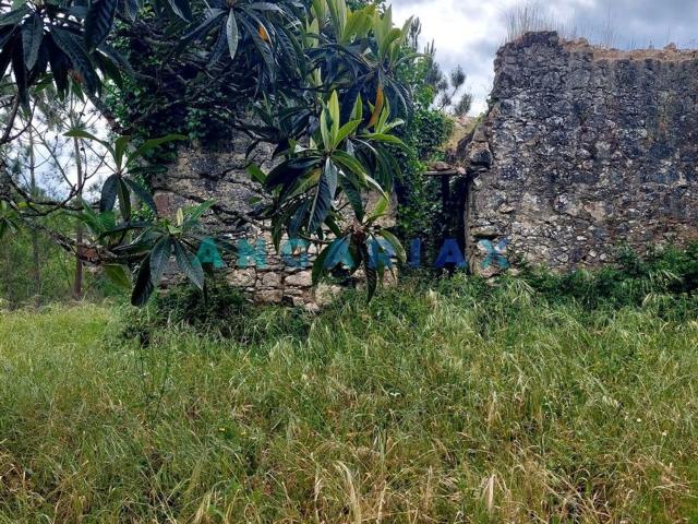 Moradia, Cadima