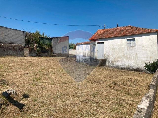 Moradia, Campeã