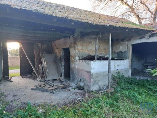 Moradia, Carapelhos