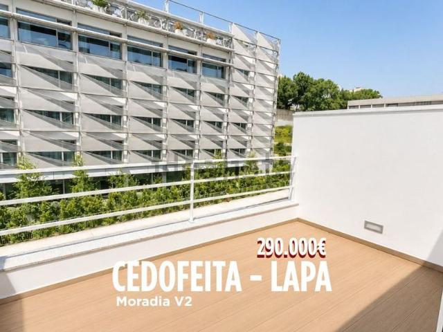 Moradia, Cedofeita Santo Ildefonso Sé Miragaia São Nicolau Vitória