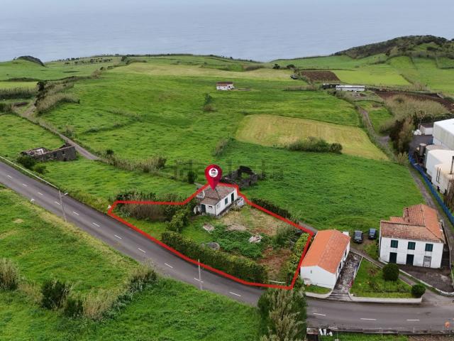 Moradia, Cedros