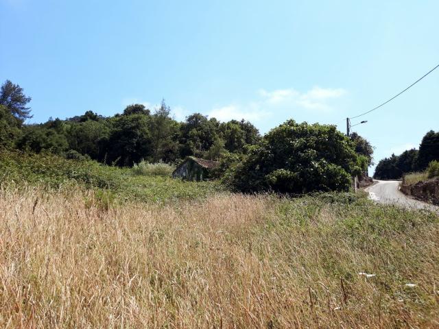 Moradia, Cela
