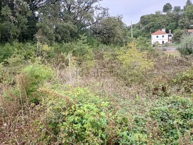 Moradia, Cela