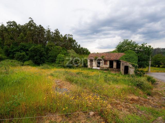 Moradia, Cepães e Fareja