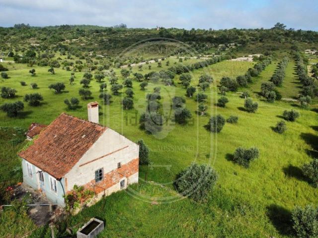 Moradia, Chãos