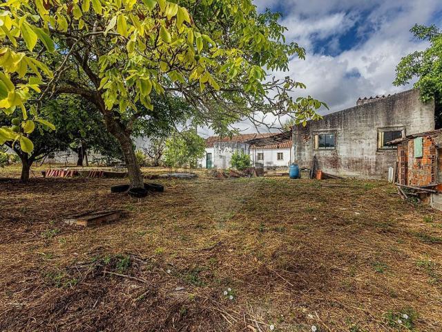 Moradia, Cidade de Santarém