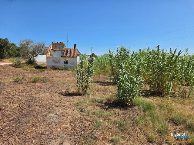 Moradia com terreno Urbano na Branca | 26054058998