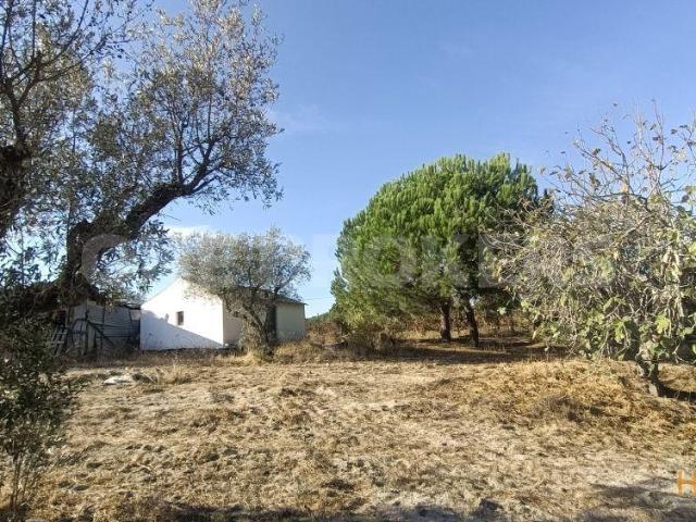 Moradia com terreno | 26063920579