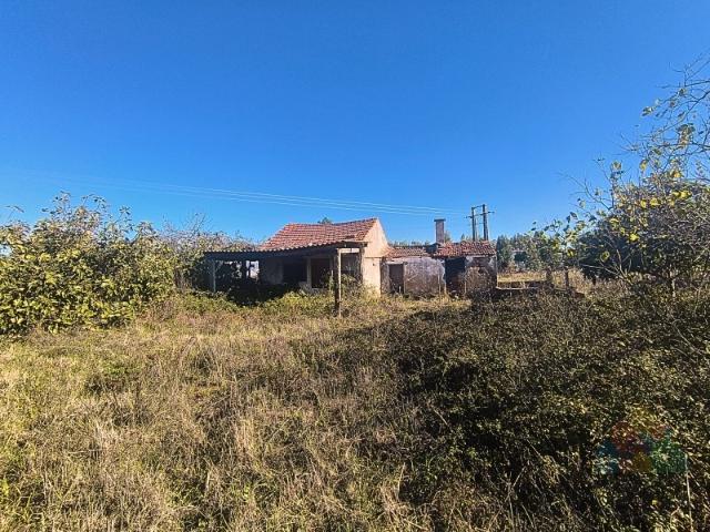 Moradia com terreno 3980 m2 com poço no Entroncamento