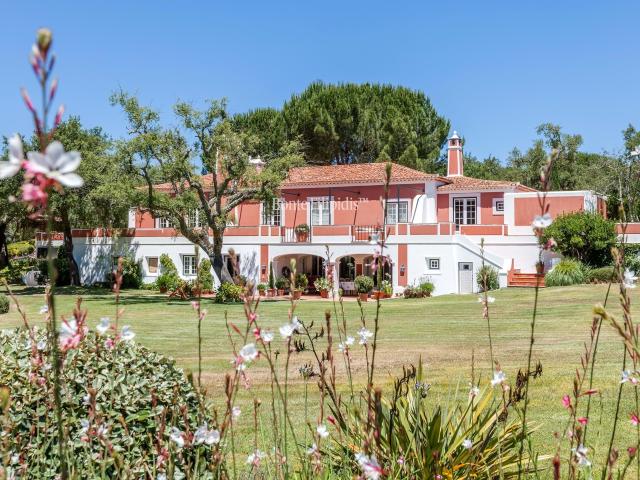 Moradia com casa de hóspedes e 2,5 hectares em Santo Estêvão