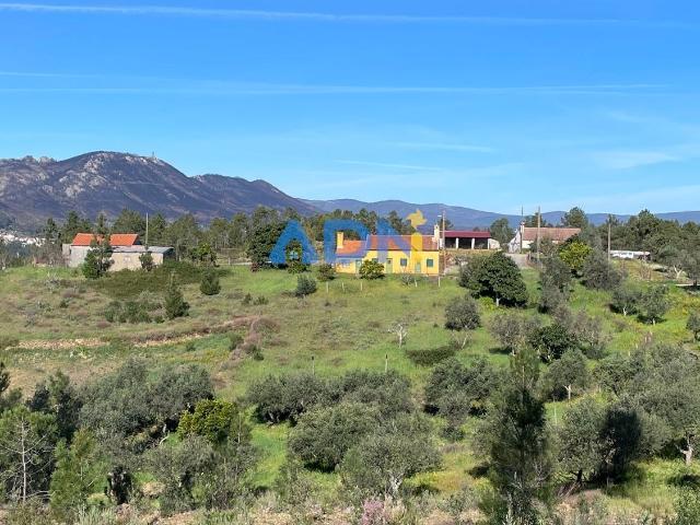 Moradia com com charca, garagem e anexos para venda, Castelo Branco