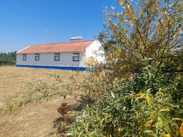 Moradia, Comporta
