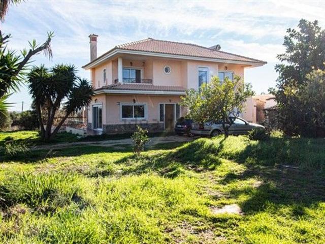 Moradia, Conceição