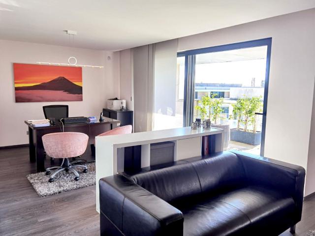 Moradia de 3 frentes na Vilarinha Colégio Clip e Hospital. 352m² Aldoar, Foz do Douro e Nevogilde