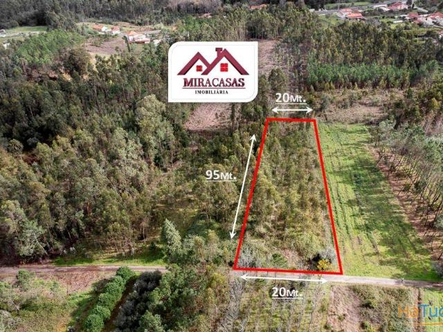 Moradia Devoluta T3 Venda em Covões e Camarneira,Cantanhede | 25053919099