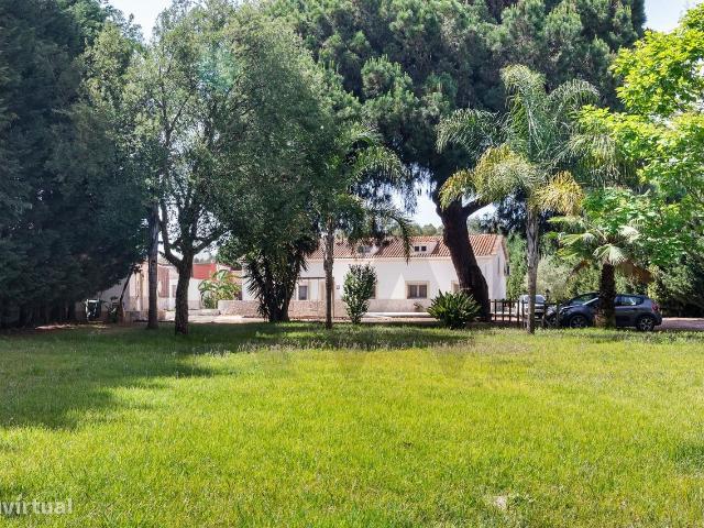 Moradia exclusiva T4 com jardim, piscina, pomar e estacionamento, em A