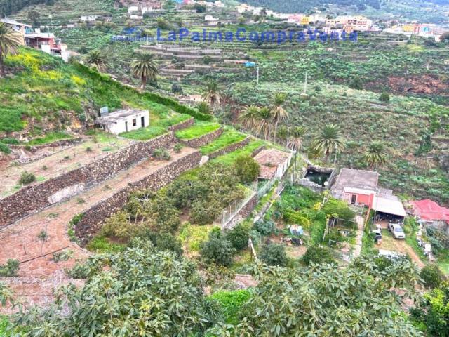 Moradia Em Banda Santa Cruz De La Palma Santa Cruz De Tenerife 98632456