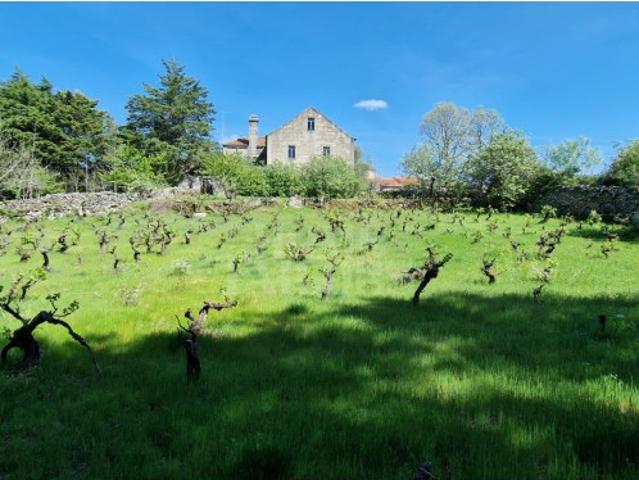 Moradia em Pedra com 2.054 m² de Terreno | Rochoso e Monte Margarida Guarda