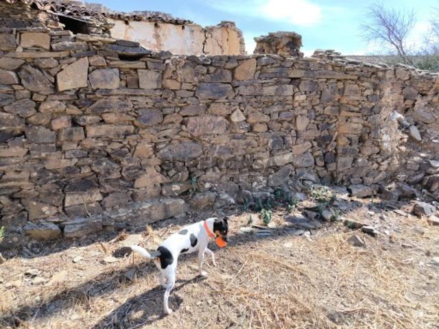 MORADIA EM PEDRA COM TERRENO DE 200 M2 COM PROJECTO FAZ FATO TAVIRA ALGARVE