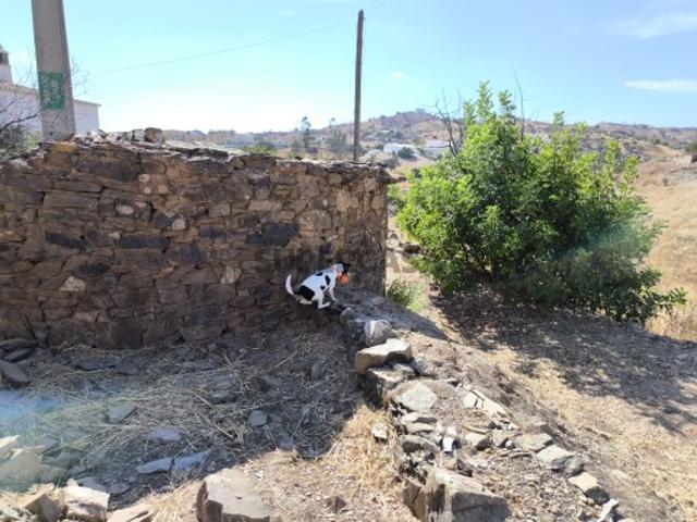 MORADIA EM PEDRA COM TERRENO DE 200 M2 COM PROJECTO FAZ FATO TAVIRA ALGARVE