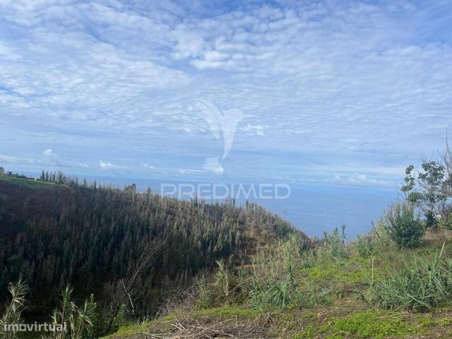 MORADIA EM PEDRA,COM TERRENO 1.000M2 E 2 PALHEIROS