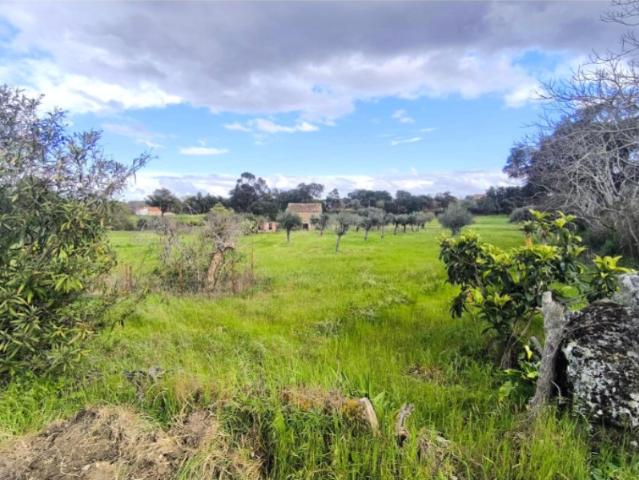 Moradia em pedra granítica Farm com 45m2 inserida em 15000m2 de árvores de fruto e oliveiras São Miguel d Acha Castelo Branco