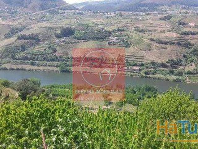 Moradia em Penajoia com vistas para o Rio Douro | 26083526268