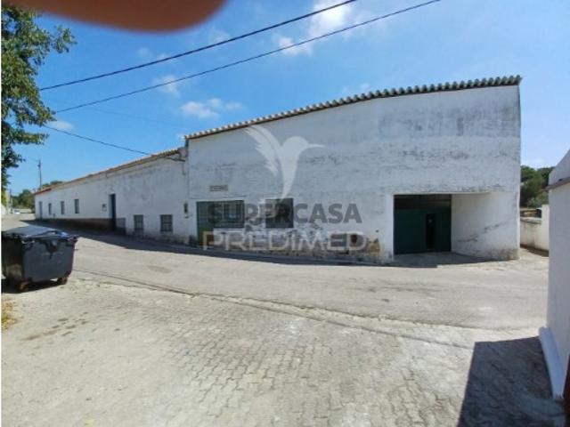 Moradia em Ponte de Sor