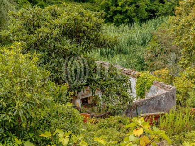 Moradia em ruina em Sintra 0m² Agualva e Mira Sintra